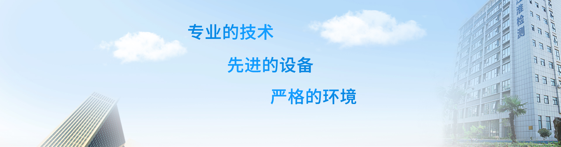 检测服务